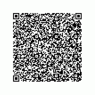vCard 79187200313