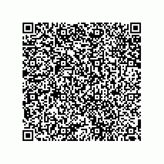 vCard 79187200317