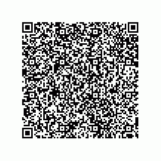 vCard 79187200319