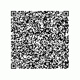 vCard 79187200379