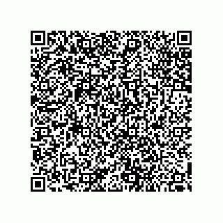 vCard 79187200391