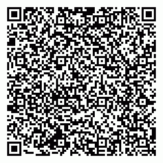 vCard 79188403197