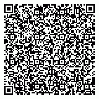 vCard 79188500013