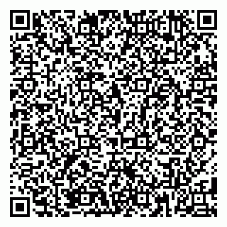 vCard 79188500131