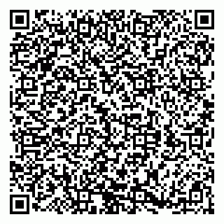 vCard 79188500200