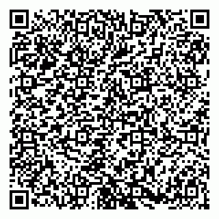 vCard 79189000529