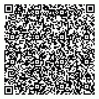 vCard 79201000919