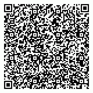 vCard 79201001011