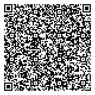 vCard 79201001018