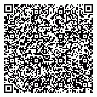 vCard 79201001100