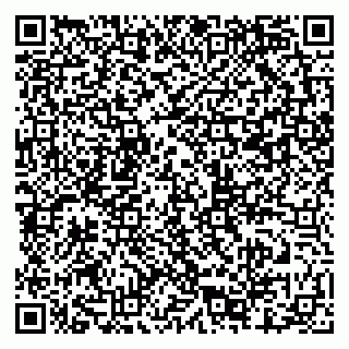 vCard 79201001299