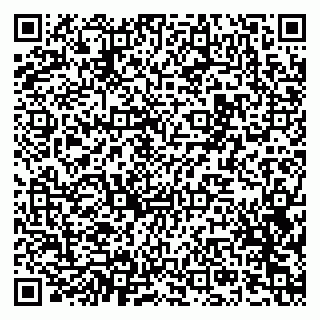 vCard 79201001311