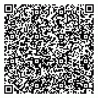 vCard 79201001313