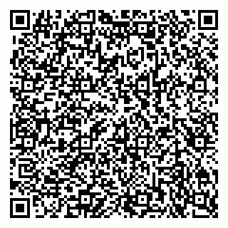 vCard 79201001329