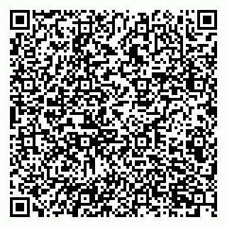 vCard 79201001333