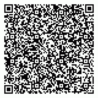 vCard 79201001380