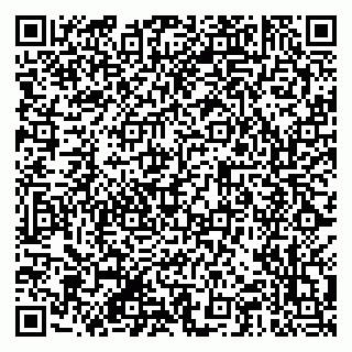 vCard 79201001383