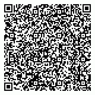 vCard 79201001387