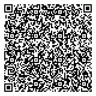 vCard 79201001513