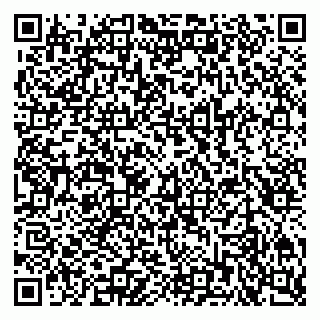 vCard 79201001531