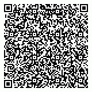 vCard 79201001533