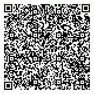 vCard 79201001538