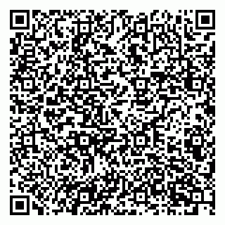 vCard 79201001581