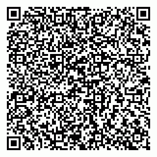 vCard 79201001611