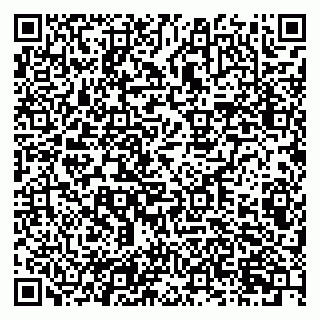 vCard 79201001633