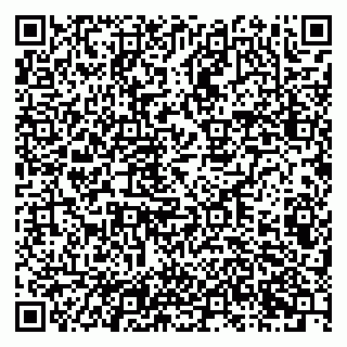 vCard 79201001729