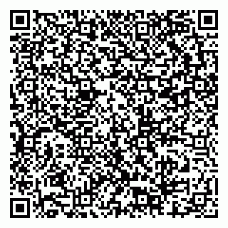 vCard 79201001735