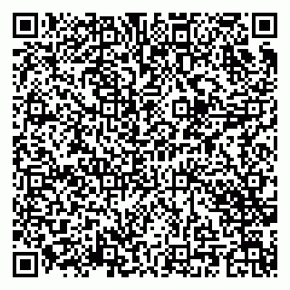 vCard 79201001739