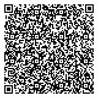 vCard 79201001741