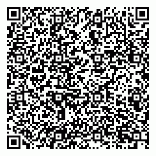 vCard 79201001833