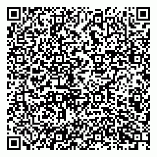 vCard 79201002029