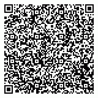 vCard 79201002087