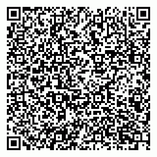 vCard 79201002133