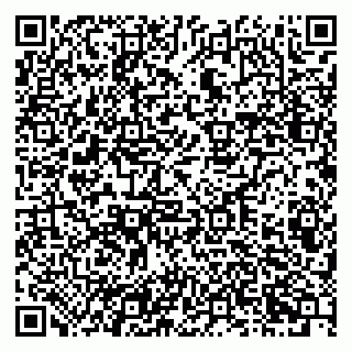 vCard 79201002239