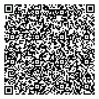 vCard 79201002333