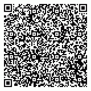 vCard 79201002387