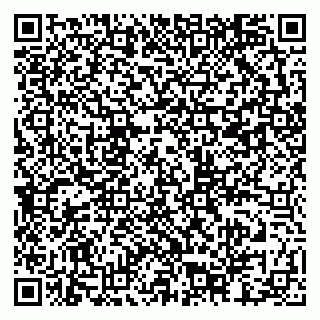 vCard 79201002391