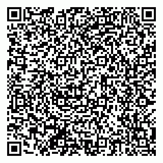 vCard 79201002403