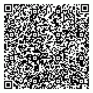 vCard 79201002411