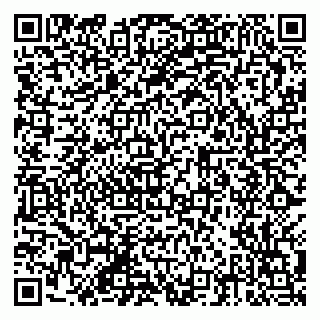 vCard 79201002433