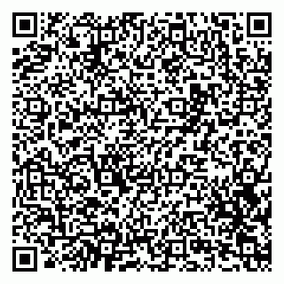 vCard 79201002511
