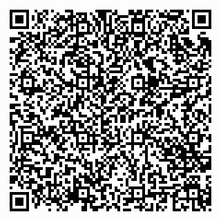 vCard 79201002513