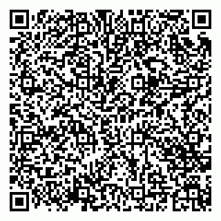 vCard 79201002528