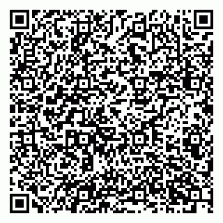 vCard 79201002529