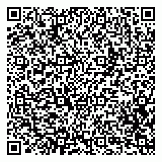 vCard 79201002573