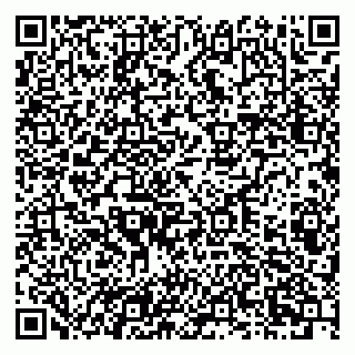 vCard 79201002711